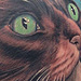 Cat Tattoos